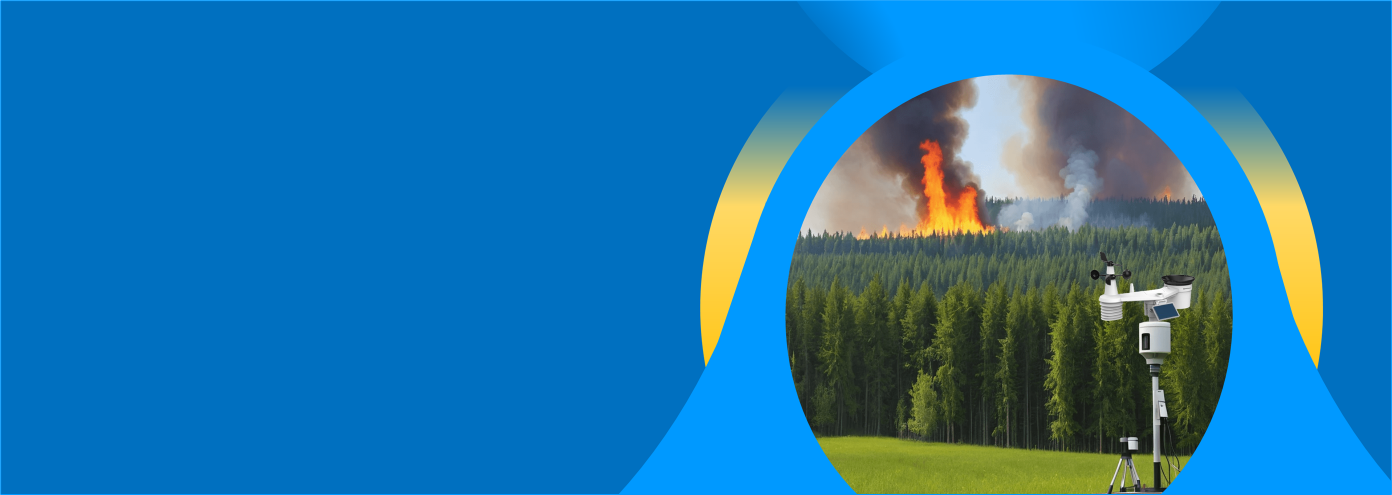 Imagen principal de un paisaje afectado por incendios forestales